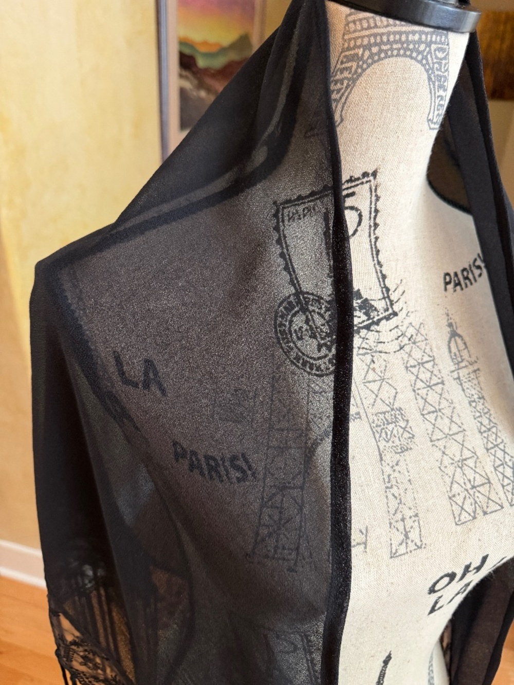 Black Dressy Shawl Wrap with Fringe and Lace Semi Sheer - Picture 6 of 9